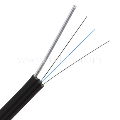 Indoor/Outdoor 1/2/4 Core Single Mode G652D G657A1 G657A2 Self-Support FRP/Steel Wire GJYXFCH FTTH Flat Drop Optic Cable
