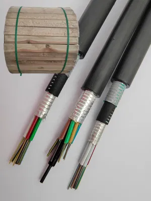 Direct Bury Underground 24 Core GYXTW Optic Fiber Cable
