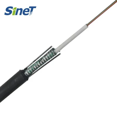 Aerial 2 4 6 8 12 24 Core Fibre Optic Cable Single Mode G652D Armoured Fiber Optic Cable Outdoor GYXTW
