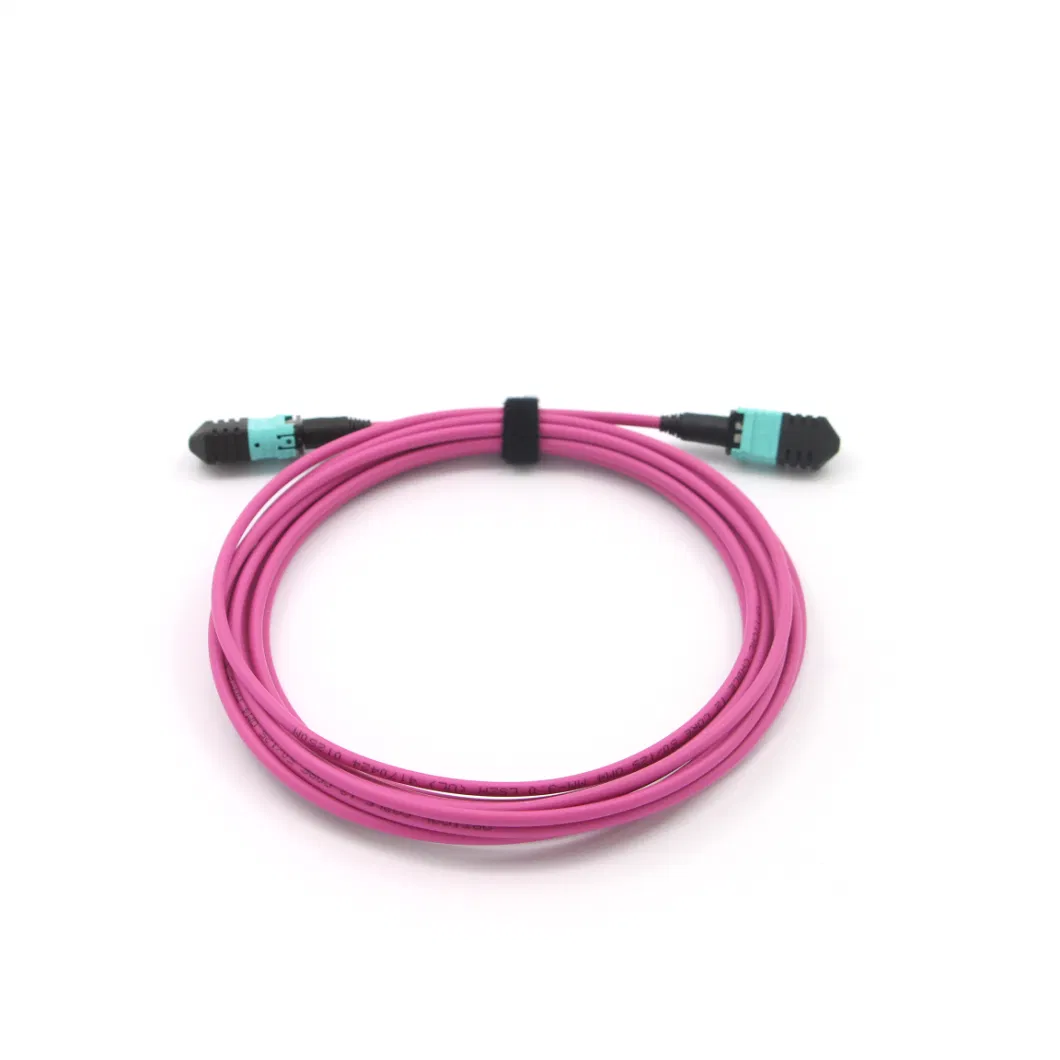 MPO (Female) -MPO (Female) Standard Elite Loss Fiber Optical Patch Cord with Om5 Fiber Cable 10 Meters
