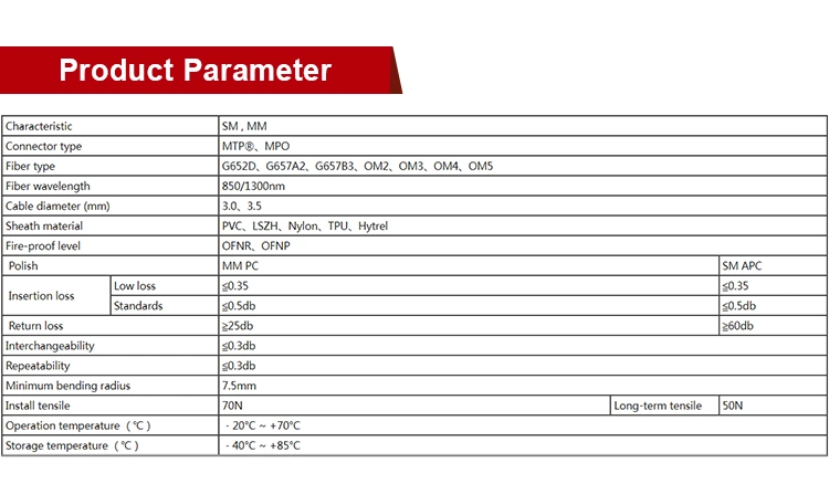 MPO/MTP 12 Fibers Fiber Optic Patch Cord
