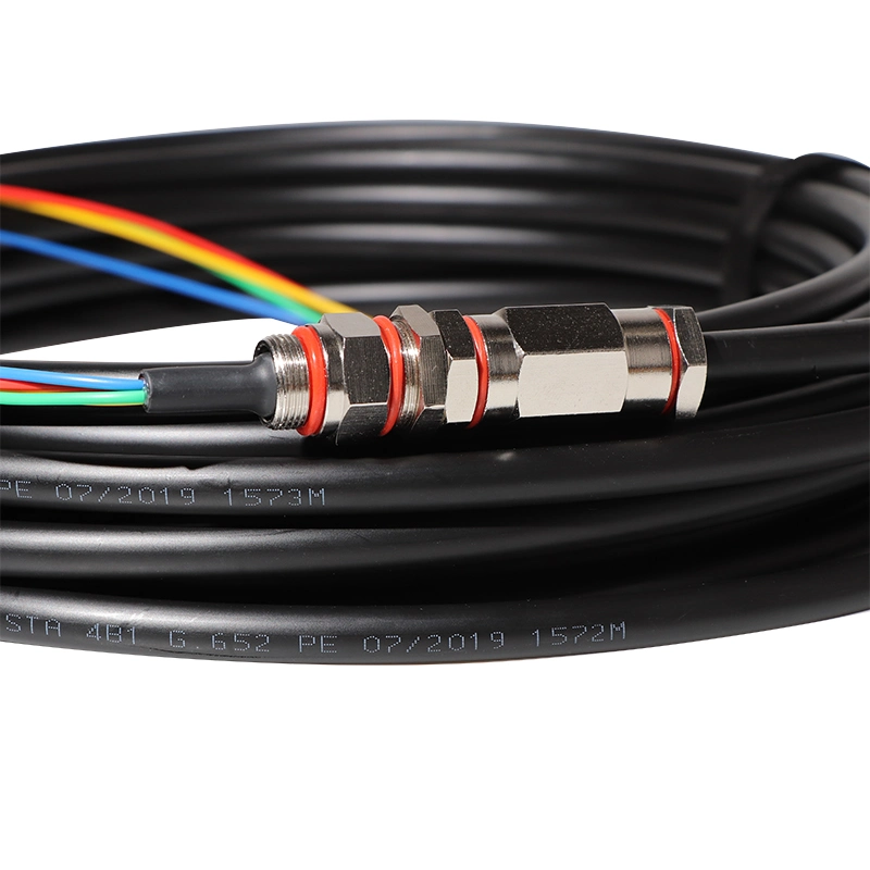 Outdoor Sc FC LC Waterproof Fiber Optic Pigtail 2 4 12 24 Core Sm G652D Fiber Patch Cable