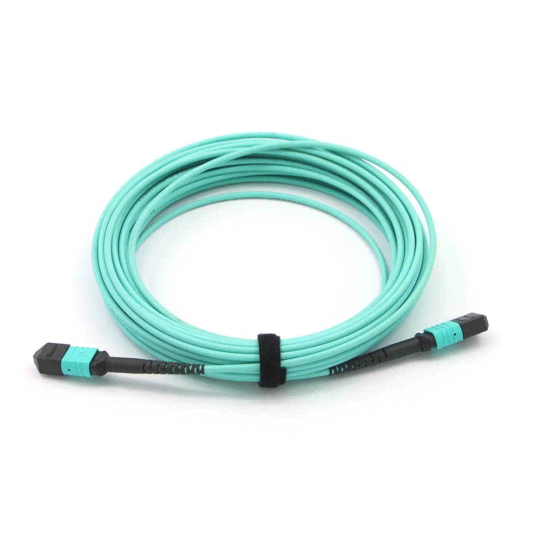 MPO (Female) -MPO (Female) Standard Elite Loss Fiber Optical Patch Cord with Om5 Fiber Cable 10 Meters