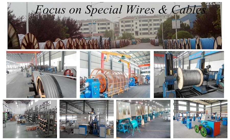 Hot Sale OFC Copper Conductor RoHS PVC PE Insulated Shielded Twisted Pair Cable