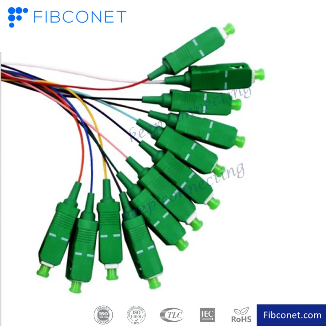 FTTH 12core Sc/LC/FC/E2000 LSZH Jumper Singlemode Multicore Fiber Optic / Optical Pigtail