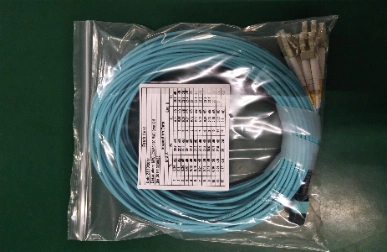 MTP Female to Female 12 Fibers Patch Cord Om3 50125 Multimode Trunk Cable Type B Elite Plenum (OFNP) Aqua