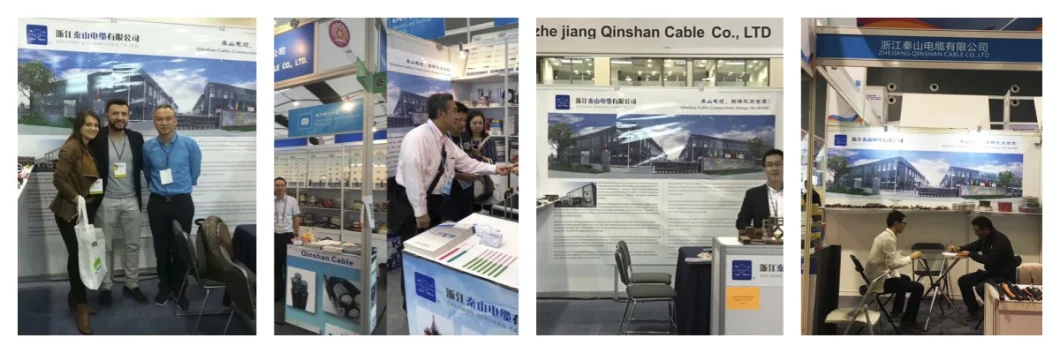 Qinshan Network Cabling Telecommunication Indoor FTP Drop Bow-Type Fiber Optic Cable