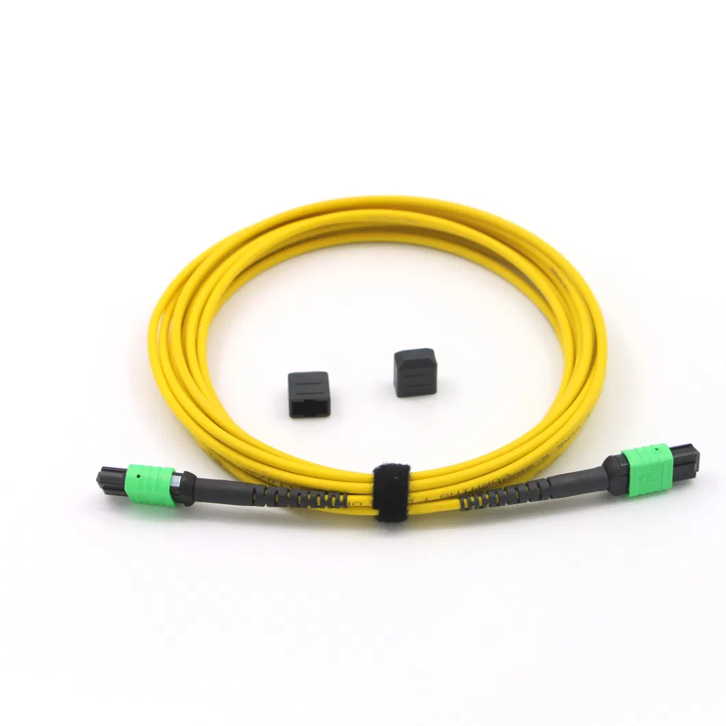 MTP/MPO Singlemode 12cores Fiber Optic Patch-Cord