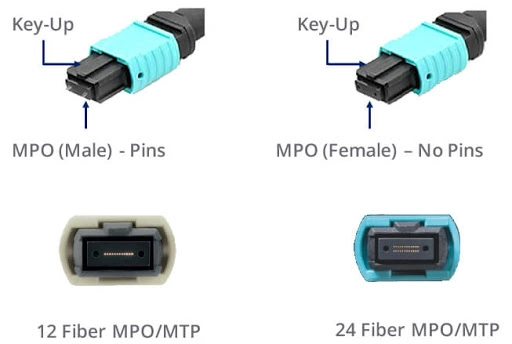 Om4 Multimode MPO-MPO Trunk Fiber Patch Cords 12 Strands Female/Female Type B, 1m, Indoor Optical Fiber Cable Compatible