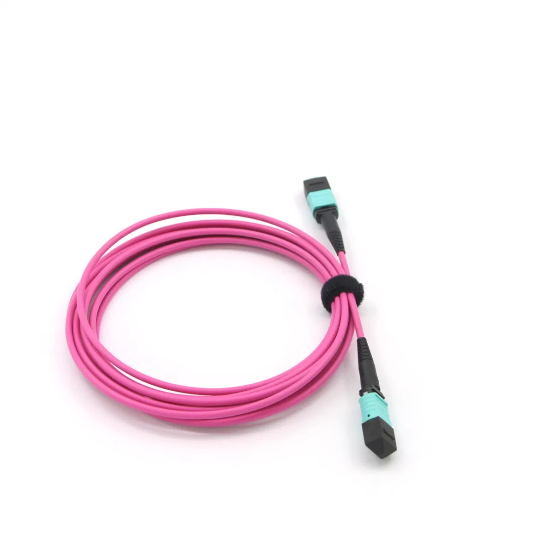 MPO (Female) -MPO (Female) Standard Elite Loss Fiber Optical Patch Cord with Om5 Fiber Cable 10 Meters