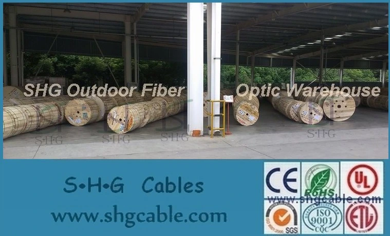 Hot Sale Low Cost Factory Price 1/2/4 Cores Fibers Drop Fiber Optic FTTH Cable
