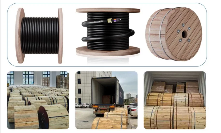 Factory Price 12/24/48/96 Hilos/Cores Span 80m 100m 120m 200m 400m Single Jacket G652D 12f Double ADSS Optical Fiber Cable