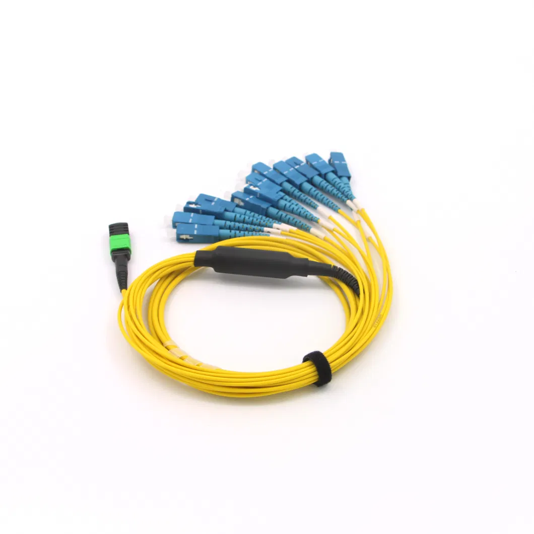 MPO-Sc Fiber Optical Patch Lead