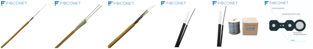 FTTH Drop Cable GJYXFCH 2/4/6/8/12 Cores Indoor Fiber Optic