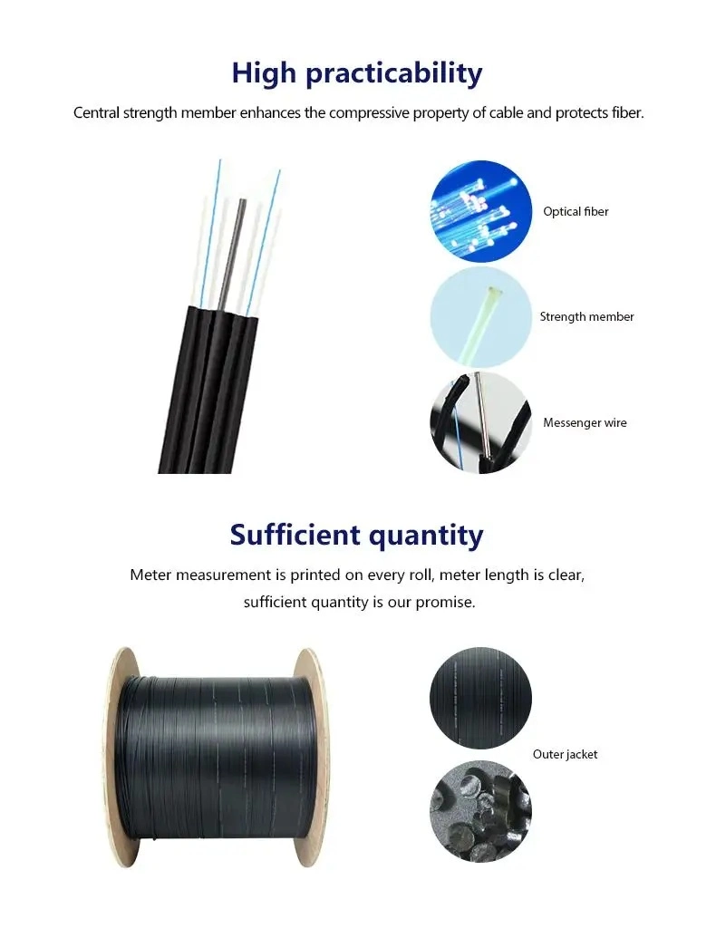 High Quality Flat 1-48 Core Indoor Circular Armored Drop Cable with 8 Overhead Self-Supporting Optical Cables