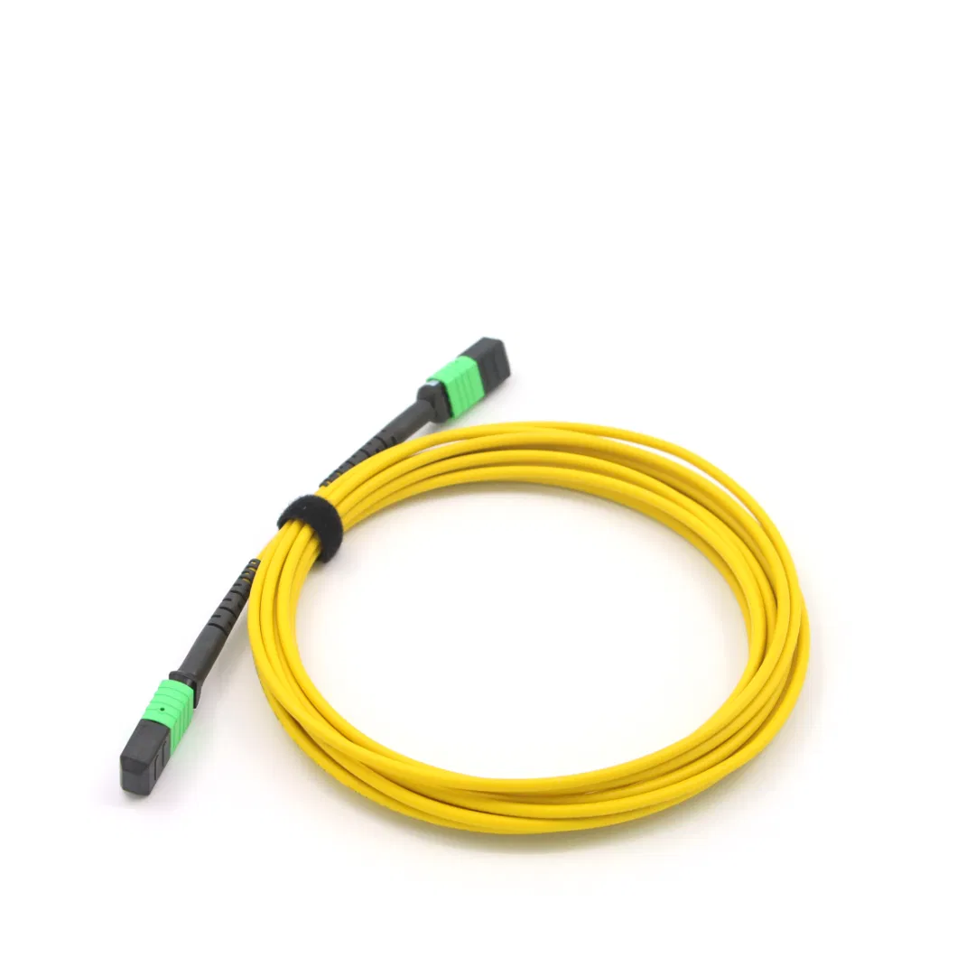 Fiber Optic Patch Cord Cable MPO/MTP