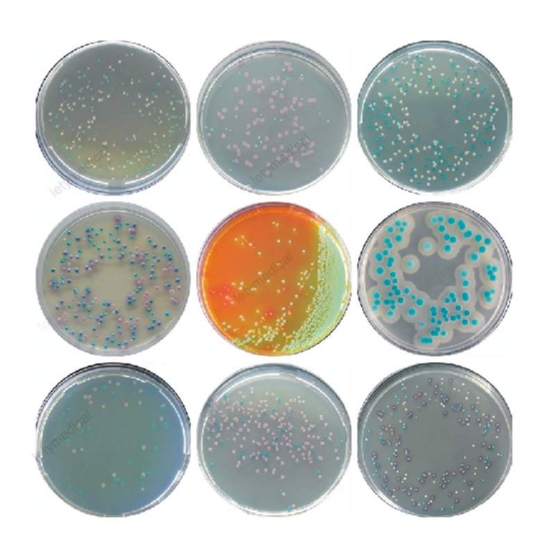 Microbial Culture Chromogenic Medium Chromogenic E. Coli Agar Escherichia Coli Culture Medium