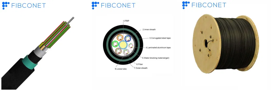 Ftta 96/144 Core GYTA/GYTS ADSS Armored Flat Optical Fiber