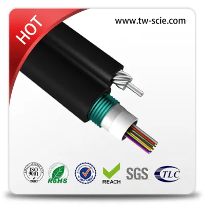 24C Cable de fibra óptica con la figura-8 Self-Supporting Gyxtc8s de tipo G