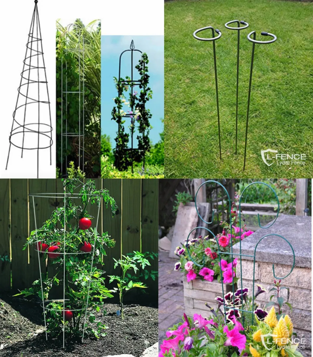 Climbing Plant Trellis Climbing Plant Trainer Metal Plants Support