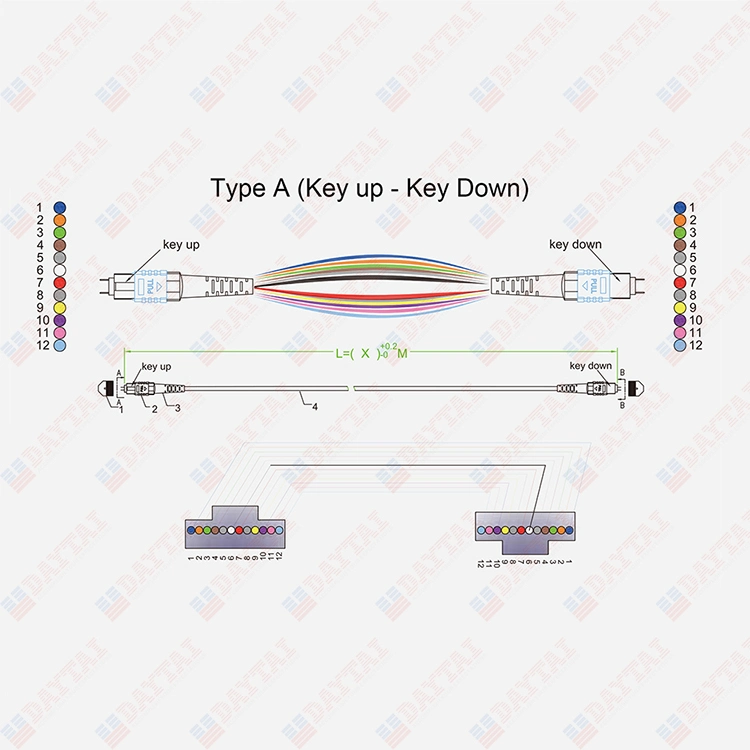 Male to Female Connector 24 Fiber MTP Patch Cable Cord