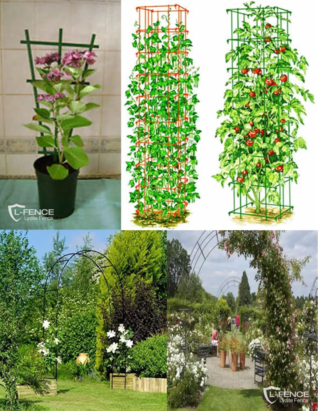 Garden Plants Support