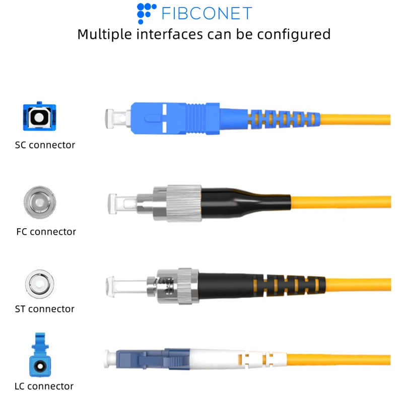 FTTH Manufacturer Sc/FC/LC/E2000 APC Upc 12 Core Fiber Optical Pigtail