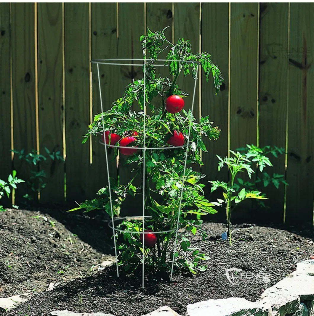 Wux Lydite Tomato and Plant Support Cage