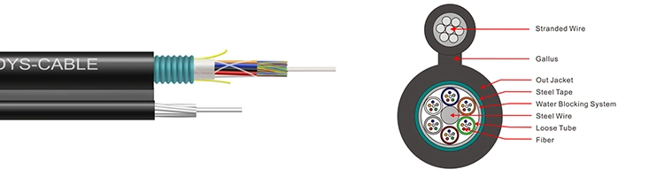 High Quality Self Supporting Figure 12 Fiber Optic Cable 48 Core Optical Fiber Cable Armored Optic Cable GYTC8S