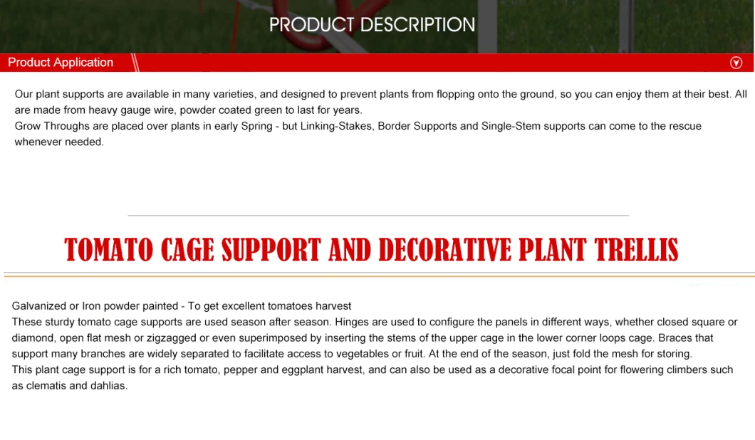 Wux Lydite Tomato and Plant Support Cage