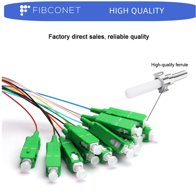 FTTH Manufacturer Sc/FC/LC/E2000 APC Upc 12 Core Fiber Optical Pigtail