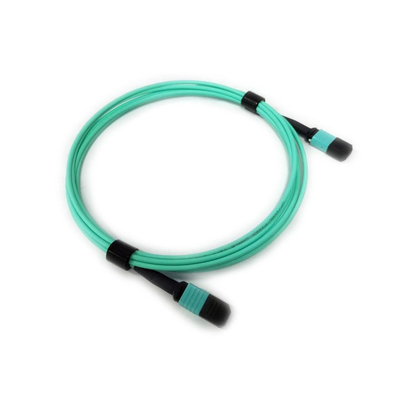 Original Factory 10 Gigabit Multimode Multi-Core MTP8 Core 12-Core 40g/100g MTP-MTP Om5 Fiber Cable Qsfp Optical Module Connection Line