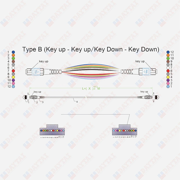 Male to Female Connector 24 Fiber MTP Patch Cable Cord