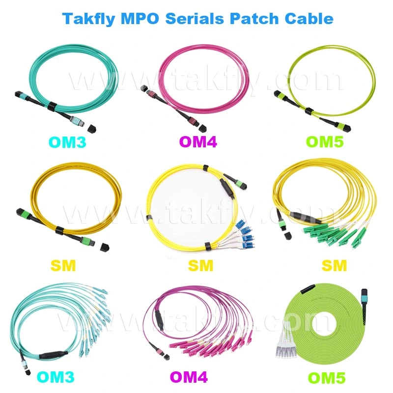 12/24 Cores MPO MTP Sm Om3 Om4 Om5 Fiber Optic MPO Fiber Cable