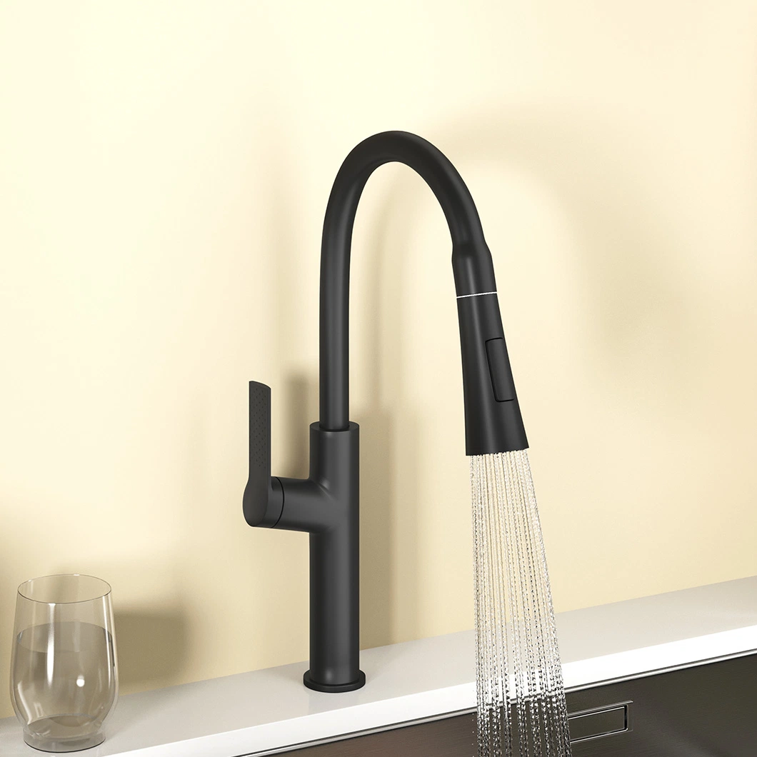 Multiple Modes of Water Outlet, Vegetable Basin, Kitchen Faucet, Factory Direct Sales