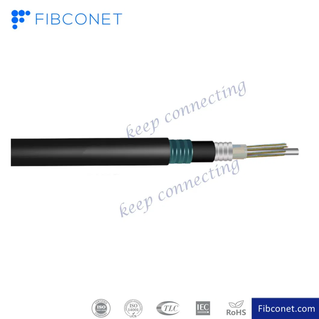 Fiberlink Aerial Anti-Rodent Drop Cable - G657A/G652D Singlemode Optical Armored Cable - 1-4 Cores - Bow Type Tight Buffer - Gjyxch Mode