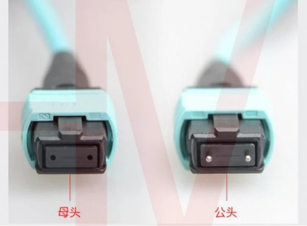 MPO Type Optic Fiber Connector Patchcord Customized