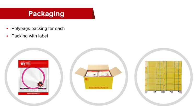Hanxin 24 Years Patch Cord OEM Factory Anatel Certificate Pre-Terminated MPO-MTP Patch Cord