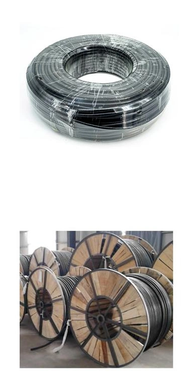 1-2 Cores Flame Resistant PVC XLPE or Silicone High Quality PV Solar Electrical Wire Earth Control Flat Flexible Electric Power Cable