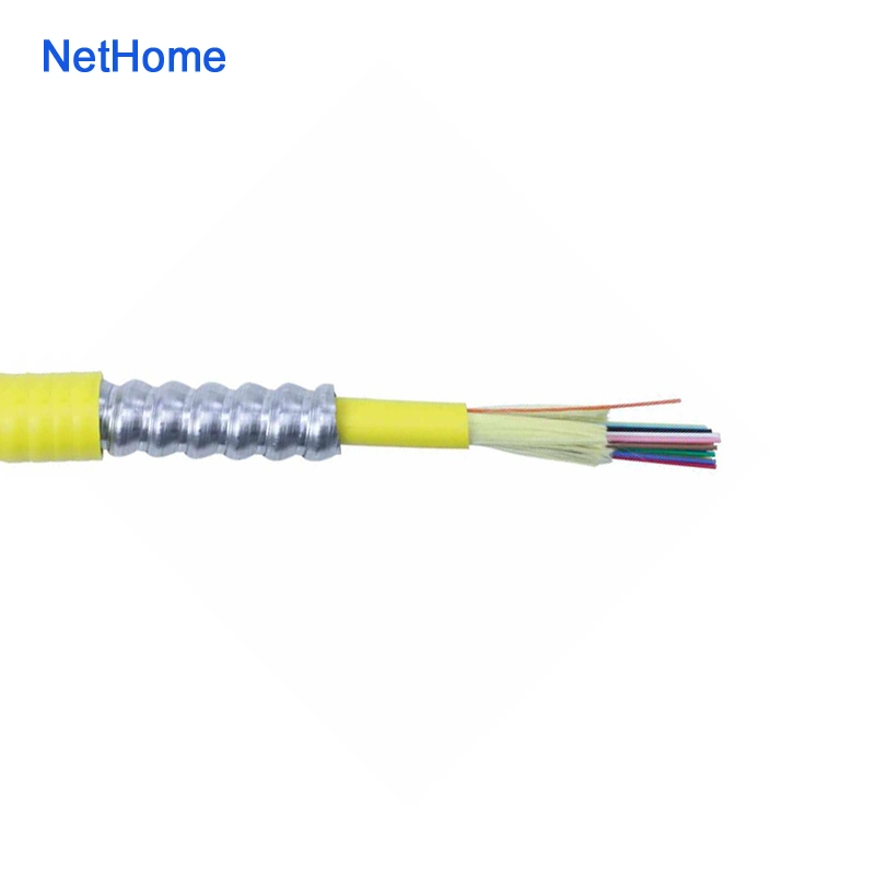 Indoor Riser Rated Om3 Interlocking Armored Fiber Optical Cable