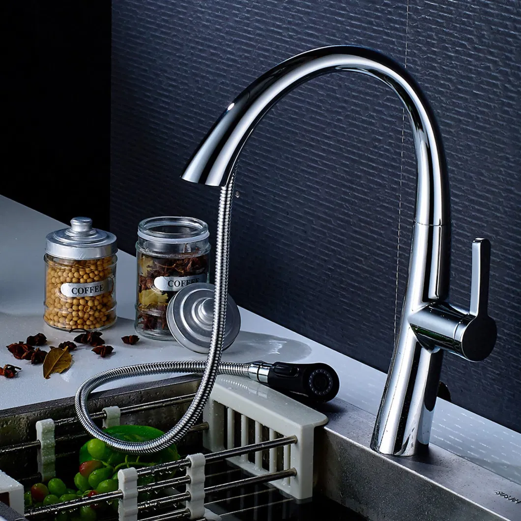 High Arc and Multiple Water Flow Mode Chrome Single Handle Stainless Steel Kitchen Faucets for RV Kitchen Bar