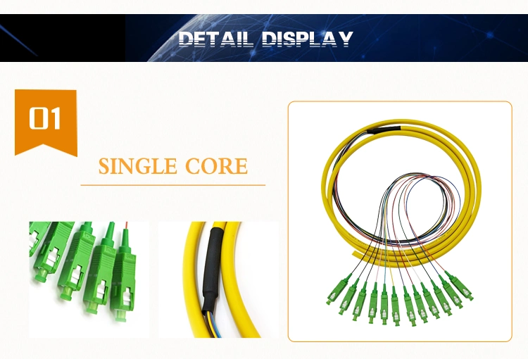 Factory Supply 12 Color 0.9mm Sm mm Sc/LC/FC/E2000 Fiber Optic Bunchy Ribbon Pigtail