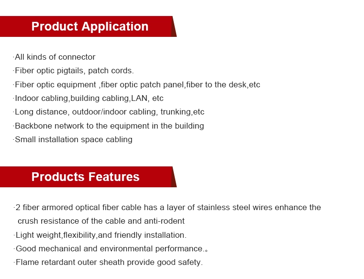 Indoor Distribution Double Armoured Spiral Wire Aerial Optical/Optic Fiber