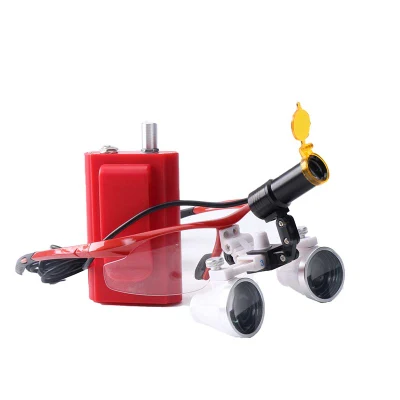 2.5X Binocular Magnifying Glass 5W Portable LED Light Surgcail Lamp