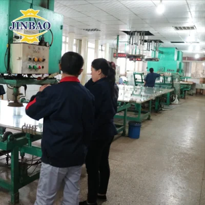 Factory Double Color 12mm Jinbao Perforated Greenhouse Magnifying Clear Acrylic Sheet Cast-Acrylic