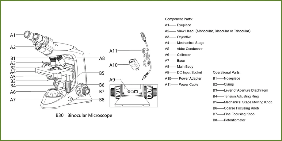 Lab Instrument Thrinocular Microscope with Abbe Condenser