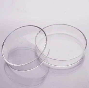 Magnifying Glass Lens/Instrumentation Process Lenses/Convex Lens