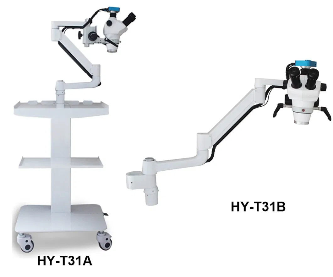 Ce Approved 25X Magnification Build-in Type Hy-T31A/B Microscope Dental with Camera
