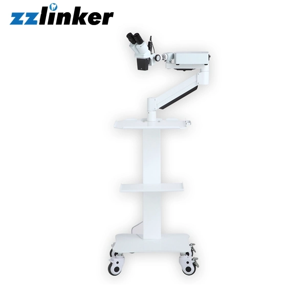 Lk-T03A Cheap Price 2.5X 3.5X Dental Magnifier Surgical Loupes with Light