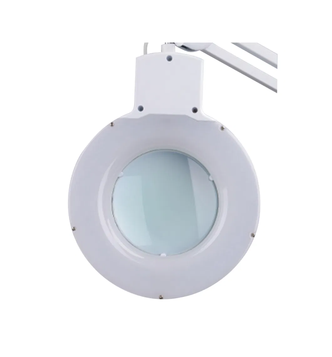 Lighted Magnifying Lamp, Flash Light with Magnifier (BM-9001LED)